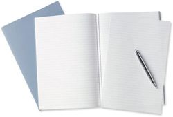 Silvine 419 - Quaderno con fogli perforati, a righe, 75 gmq, 96 pagine, 10 pezzi