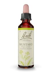 Fleurs de Bach Original, Mustard, No 21, pour plus de stabilité, aide à retrouver la joie initiale. Elixir floral naturel pour le bien-être émotionnel. Compte-Gouttes 20ml, Vegan