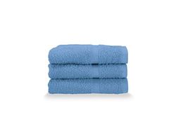 Gabel Asciugamani Ospite, Spugna di Puro Cotone Idrofilo, 40 x 60 cm, Bluette, Set da 3 Pezzi
