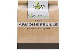 Tisane Armoise feuille 1 KILO CT Artemisia vulgaris