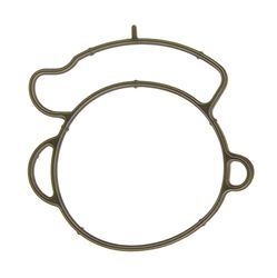 MISSLÅLIG GASKET