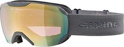 ALPINA Unisexe - Adultes, PHEOS S QV Lunettes de ski, grey, One Size