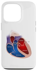 Heart Anatomy Case for iPhone 13 Pro