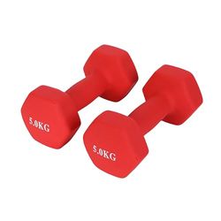 Endless Neoprene Coated Fixed Dumbbell for Gym Exercises | Pair of 5kg (2 * 11 LB) | Material : Iron with Vinyl Coat | Weights for Women and Men
