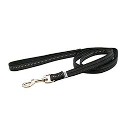 Laisse caoutchoutée avec dragonne - Noir - 200 cm (2 m)