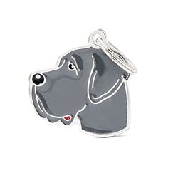 My Family Medaglietta per Cane Personalizzata Made in Italy, Alano Blu, Targhetta Cane con Incisione Gratis, Smaltata a Mano in Metallo, Collezione Friends, 30x30 mm