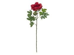 Europalms Peonia Ramo Classico, Magenta, 80 cm