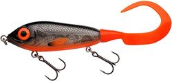 Abu Garcia Svartzonker McMy Tail Jerkbait - ABS trasparente ad alto impatto, peso ecologico, effetto 3D realistico, progettato in Svezia per la pesca in acqua dolce e salata, Fegis 17 cm