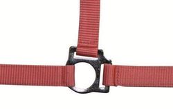 HKM Stars Economy Holster Roze Koud Bloed
