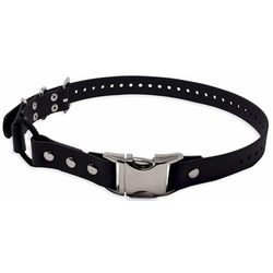 Educator Quick Snap Dog Colar, Biothane, Waterproof, Odorproof, Easy Connect Disconnect Clasp and D Ring with Comfort Bungee Loop ajustável para um ajuste personalizado, preto, 2,54 cm