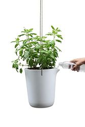 Qualy Oasis fyrkantig blomkruka rund med självbevattningssystem i vit färg, storlek: L, QL10308-WH-GY