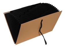Exacompta - Rif. 58602E - 1 raccoglitore per nastri 18 scomparti Office By Me - interno in carta riciclata nera - per formato A4 - chiusura a nastro con angoli in metallo oro per rafforzare la