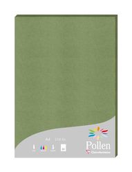 Clairefontaine 24270C – een etui met 25 vellen – formaat A4 (21 x 29,7 cm) – 210 g/m² – kleur: saliegroen – uitnodigingspapier voor evenementen en correspondentie – pollen-serie – premium papier glad