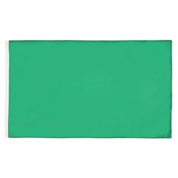 AZ FLAG - Drapeau Commissaire de course Vert - 90x60 cm - Drapeau Fin De La Zone De Danger 100% Polyester Avec Oeillets Métalliques Intégrés - Pavillon 50 g