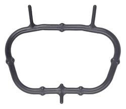 MISSLÅLIG GASKET