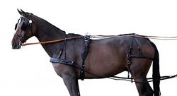 PFIFF einspaenner Stoviglie 'Standard', Nero Full