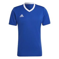 adidas Entrada 22 Short Sleeve Jersey, T-shirt Uomo, Team Royal Blue, 3XL