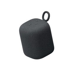Sony Enceinte LinkBuds - Enceinte Portable sans Fil Bluetooth, IPX4, Résistante à l'eau, Batterie de 25 Heures, Qualité d'Appel Clair, Outdoor, Voyage - Noir