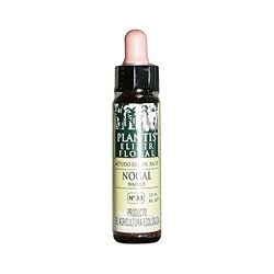 Artesania Agricola Complemento - 100 gr