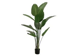 Europalms Strelitzia Artificial Plant 170 cm