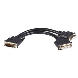 Startech DMSDVIDVI1 - Cable Adaptador de 20 cm LFH59 DMS-59 a DVI-D Doble (DMS59 Macho, 2X DVI-D Hembra, Doble Cabeza) Negro