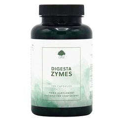 Digesta Zymes | Digestive Enzyme Supplement | Lipase, Protease, Trypsin, Ginger Root, Bromelain | 120 Capsules | G&G Vitamins