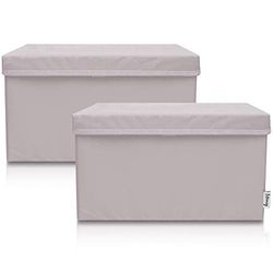 LIFENEY Lot de 2 boîtes de rangement pour enfants (37 x 25 x 21 cm) I Panier de rangement pour chambre d'enfant et salon I Boîtes de rangement pour enfants (gris clair)