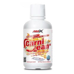 AMIX - Suplemento Alimenticio Carnilean Burner 480 ml - Ayuda a Reducir la Grasa y la Fatiga - Favorece el Aumento de Energía - Contiene Extracto Seco de Guaraná - Sabor Naranja