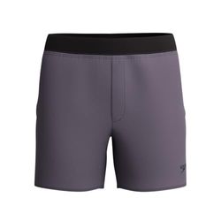 Speedo Men's The Lookout Volley 40,6 cm massiva vattenshorts, vintage dimma, L