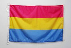 Nautische vlag Panseksualiteit 45x30cm - Omniseksualiteit bootvlag - panseksueel 30 x 45 cm - AZ VLAG