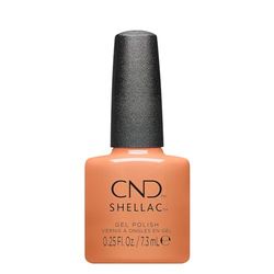 Shellac Daydreaming 465