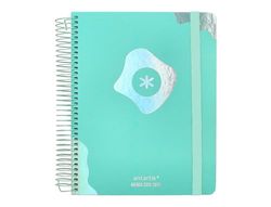 Schoolagenda Antartik, jaar 24-25, schooljaar, collectie Maxi, groen, dagoverzicht, DIN A5