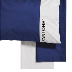 PANTONE - Completo Letto Set con Lenzuola Matrimoniali Cotone 240x280 + Lenzuolo Sotto con Angoli Matrimoniale Coprimaterasso 180x200 con Elastici per Materasso Fino 30cm + Federe Cuscino Letto 50x80