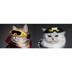 Croci Gafas de Esquí para Mascotashorizon Yellow S 1 Unidad 30 g