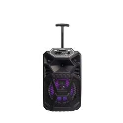 Zarivy 34.220 Wireless Bluetooth Speaker Karaoke 1x10W Electro DH