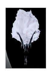 Casablanca modernes Design GILDE Quadro Ballerina Acrilico Nero 38195