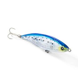 Seaspin JANAs 107 Laguna, SART Ghost, 107 mm