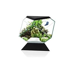 CIANO Aquarium Beta Nexus 5C nero