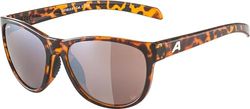 Alpina Nacan II P Zonnebril, uniseks, Havana Gloss, One Size