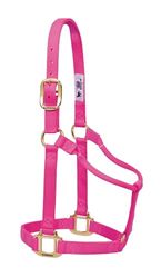 Weaver Leather Originele niet-verstelbare nylon paardenhalter, groot, Diva roze