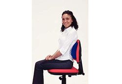 Performance Health Comfort della schiena “A”, 1/2 rullo dinamico riempito d'aria, si utilizza su una sedia, supporto lombare e sollievo dal dolore.