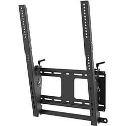 StarTech.com Verticale TV Muurbeugel, Stevige TV Wall Mount, voor 40-55" VESA Display (50kg), Kantelende Low Profile TV Ophangbeugel met Vergrendelbare Security Bar, Digital Signage (FPWTLTPORT)