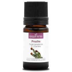 PRUCHE (Tsuga Canadensis) BIO - 5mL - Olio Essenziale di Qualità Premium - 100% Puro, Naturale, chemotipizzato e integrale