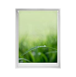 Blindecor Easy Store Enrouleur translucide sans perçage à Motif numérique Quiétude 100 x 150 cm Dimensions du Tissu 97 x 145 cm