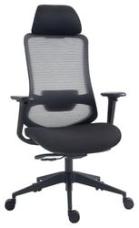OFFICER PRODUCTS Siros Chaise de Bureau Ergonomique avec accoudoirs réglables en Maille Filet et Soutien Lombaire - Accoudoirs 4D - Couleur Noire