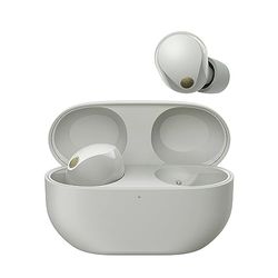 Sony WF-1000XM5 Cuffie Wireless con Noise Cancelling, Bluetooth, Cuffie In-Ear con Microfono, Fino a 24 ore di durata della batteria e Ricarica Rapida, IPX4, Funziona con iOS e Android -Grigio