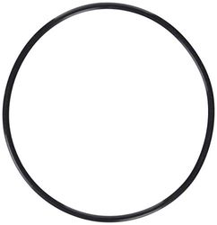 O-ring Olympus POL-054 per PT-054