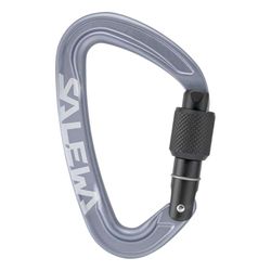 Salewa Ortles Schroef Karabijnhaak, Grijs, UNI