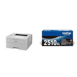 Brother HLL2865DW Stampante Laser B/N, 34 ppm TN2510XL Toner originale, fino a 3000 pagine