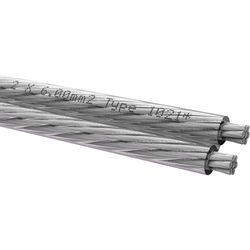Oehlbach Silverline SP-60 - Câble de haut-parleur stéréo HI-FI - Câble d'enceinte avec SPOFC (cuivre argenté) 2 x 6 mm² - Mini bobine - 10 m
